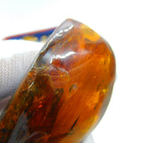 Large Specimen of Natural Baltic Amber with Multiple Insects Enclosed Antique