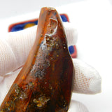 Large Specimen of Natural Baltic Amber with Multiple Insects Enclosed Antique
