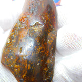 Large Specimen of Natural Baltic Amber with Multiple Insects Enclosed Antique