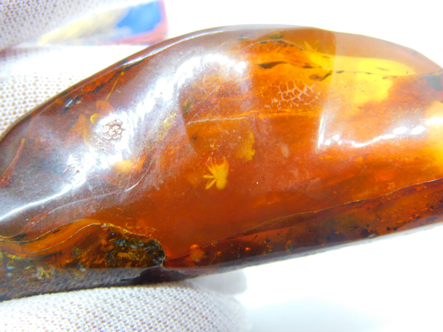 Large Specimen of Natural Baltic Amber with Multiple Insects Enclosed Antique