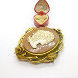 Large Georgian Rolled Gold, Hardstone & Marble Cameo Mourning Brooch c1820