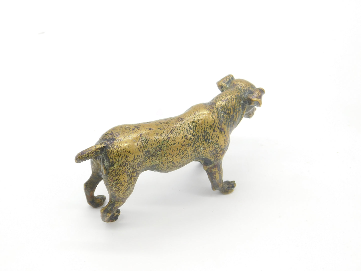 Original Vienna Bronze Cold Cast Dog Sculpture Figurine Antique c1880