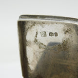 George III Sterling Silver Nutmeg Grater Box Antique 1794 London