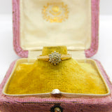 9ct Yellow Gold Diamond Set Floral Cluster Ring 1995 Birmingham Size N UK