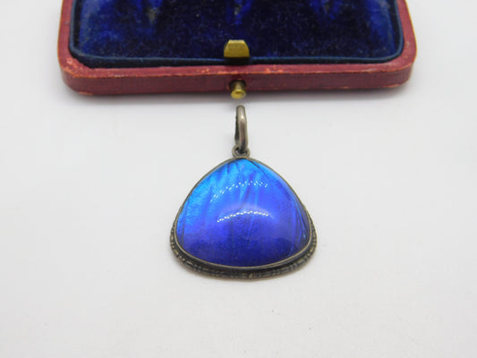 TLM Sterling Silver Morpho Butterfly Wing Deep Blue Pendant Antique c1920