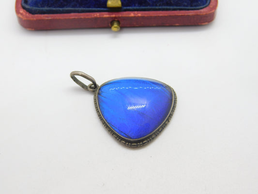 TLM Sterling Silver Morpho Butterfly Wing Deep Blue Pendant Antique c1920