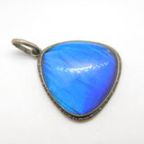 TLM Sterling Silver Morpho Butterfly Wing Deep Blue Pendant Antique c1920