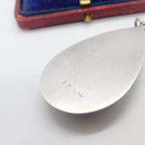Large Sterling Silver Morpho Butterfly Wing Drop Pendant Antique c1920 Art Deco