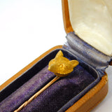 Victorian Boxed 18ct Yellow Gold Fox Mask Stick Pin Antique c1890 Edinburgh