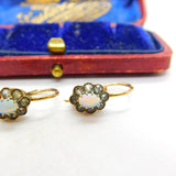 14ct Yellow Gold, Diamond Paste & Cabochon Opal Floral Earrings Antique c1920