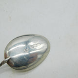 Edwardian Boxed Set of Sterling Silver Apostle Teaspoons Antique 1904 Birmingham