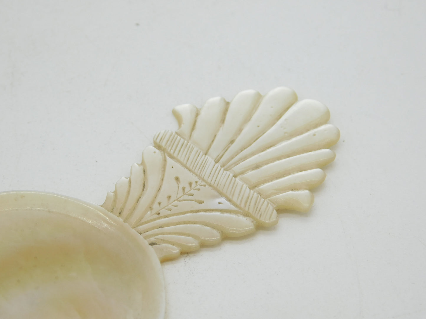 George III Carved Floral Pattern Mother of Pearl Tea Caddy Spoon Antique c1820