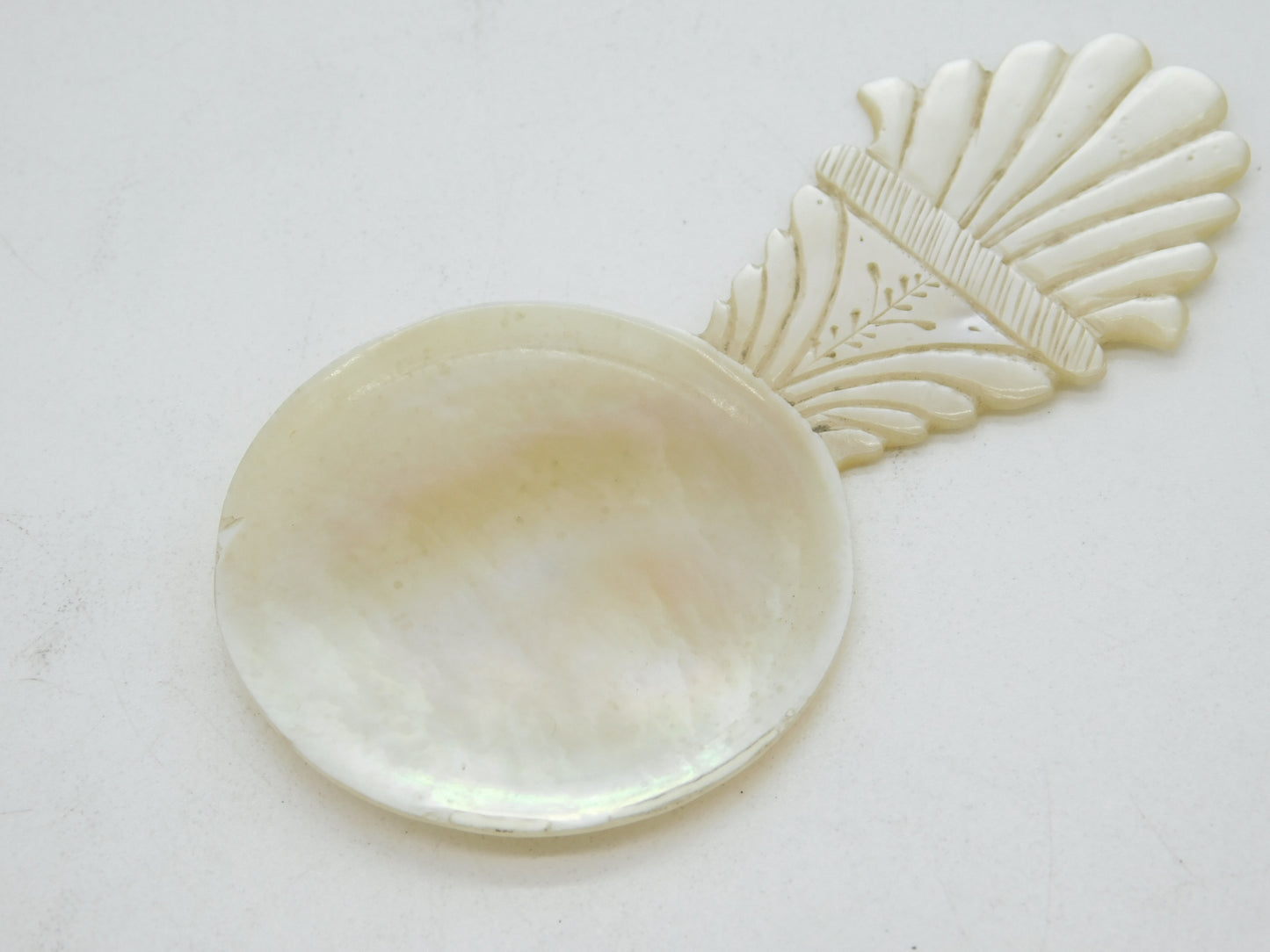 George III Carved Floral Pattern Mother of Pearl Tea Caddy Spoon Antique c1820