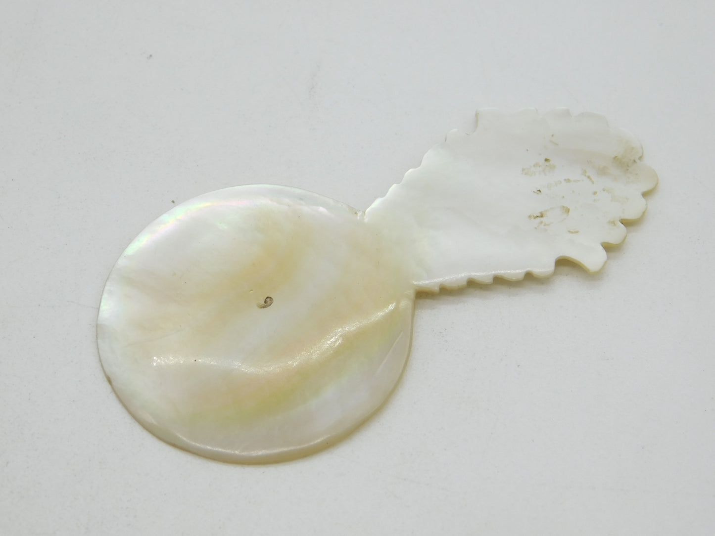 George III Carved Floral Pattern Mother of Pearl Tea Caddy Spoon Antique c1820