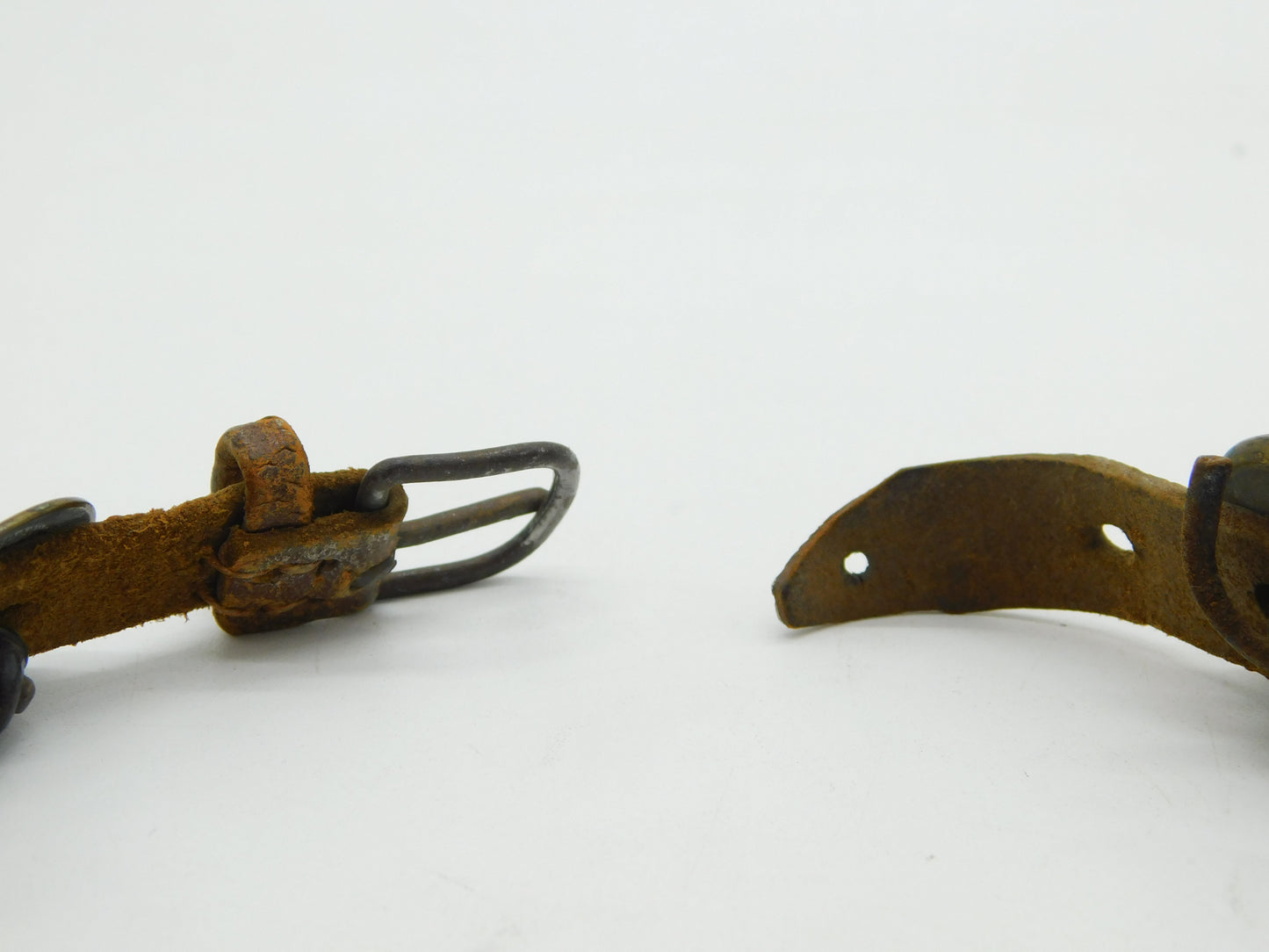 Victorian Regimental & Livery Buttons Dog or Goat Collar Antique c1880