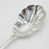 Bristol Provincial Georgian Sterling Silver Tea Caddy Spoon Antique 1833 Exeter