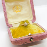 9ct Yellow Gold Diamond Floral Daisy Cluster Ring 1986 Birmingham Vintage