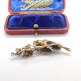 Art Nouveau 14ct Yellow Gold & Pave Set 1.1ct Diamond Floral Brooch c1880 Antique