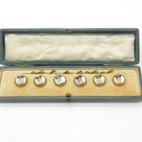 Boxed Set Of Victorian Jack Russell Dog Essex Crystal Buttons Antique c1900