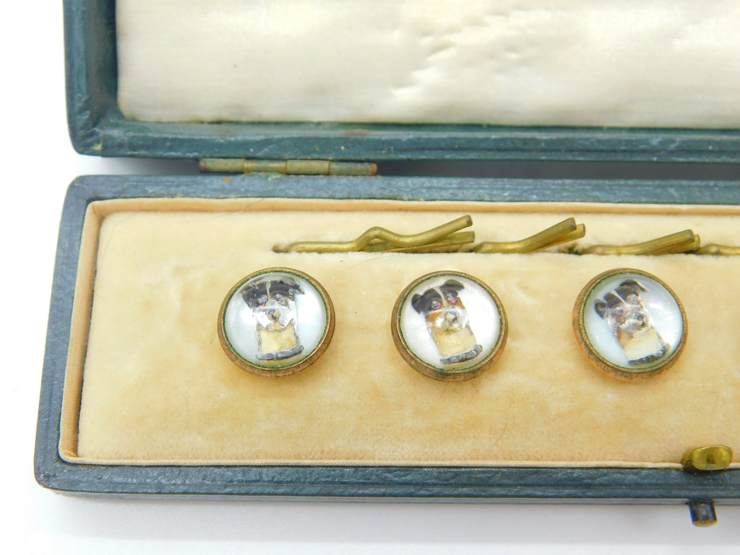 Boxed Set Of Victorian Jack Russell Dog Essex Crystal Buttons Antique c1900