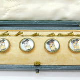 Boxed Set Of Victorian Jack Russell Dog Essex Crystal Buttons Antique c1900