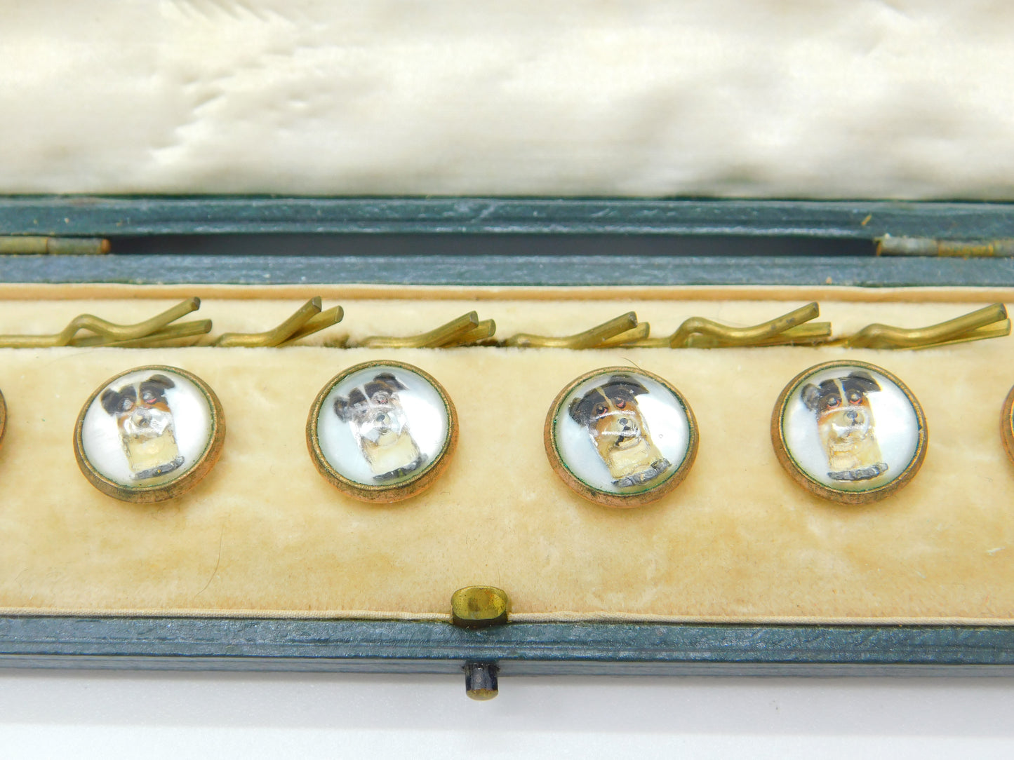 Boxed Set Of Victorian Jack Russell Dog Essex Crystal Buttons Antique c1900