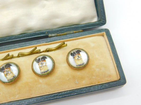 Boxed Set Of Victorian Jack Russell Dog Essex Crystal Buttons Antique c1900