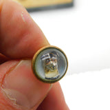 Boxed Set Of Victorian Jack Russell Dog Essex Crystal Buttons Antique c1900