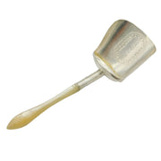 George III Sterling Silver & Mother of Pearl Sugar Spoon Antique 1807