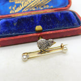 Victorian 18ct Gold, Pearl & Old-Mine Cut Diamond Baby Chick Brooch c1860 Antique