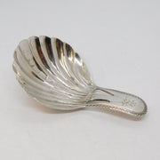 Victorian Sterling Silver Scallop Shell Tea Caddy Spoon Elkington Antique 1871 Birmingham