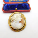 Georgian Yellow Metal & Carved Shell Classical Cameo Brooch Antique c1820