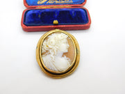 Georgian Yellow Metal & Carved Shell Classical Cameo Brooch Antique c1820