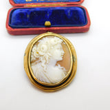 Georgian Yellow Metal & Carved Shell Classical Cameo Brooch Antique c1820