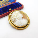 Georgian Yellow Metal & Carved Shell Classical Cameo Brooch Antique c1820