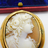 Georgian Yellow Metal & Carved Shell Classical Cameo Brooch Antique c1820