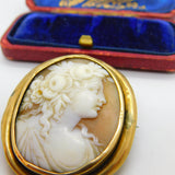 Georgian Yellow Metal & Carved Shell Classical Cameo Brooch Antique c1820