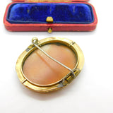 Georgian Yellow Metal & Carved Shell Classical Cameo Brooch Antique c1820