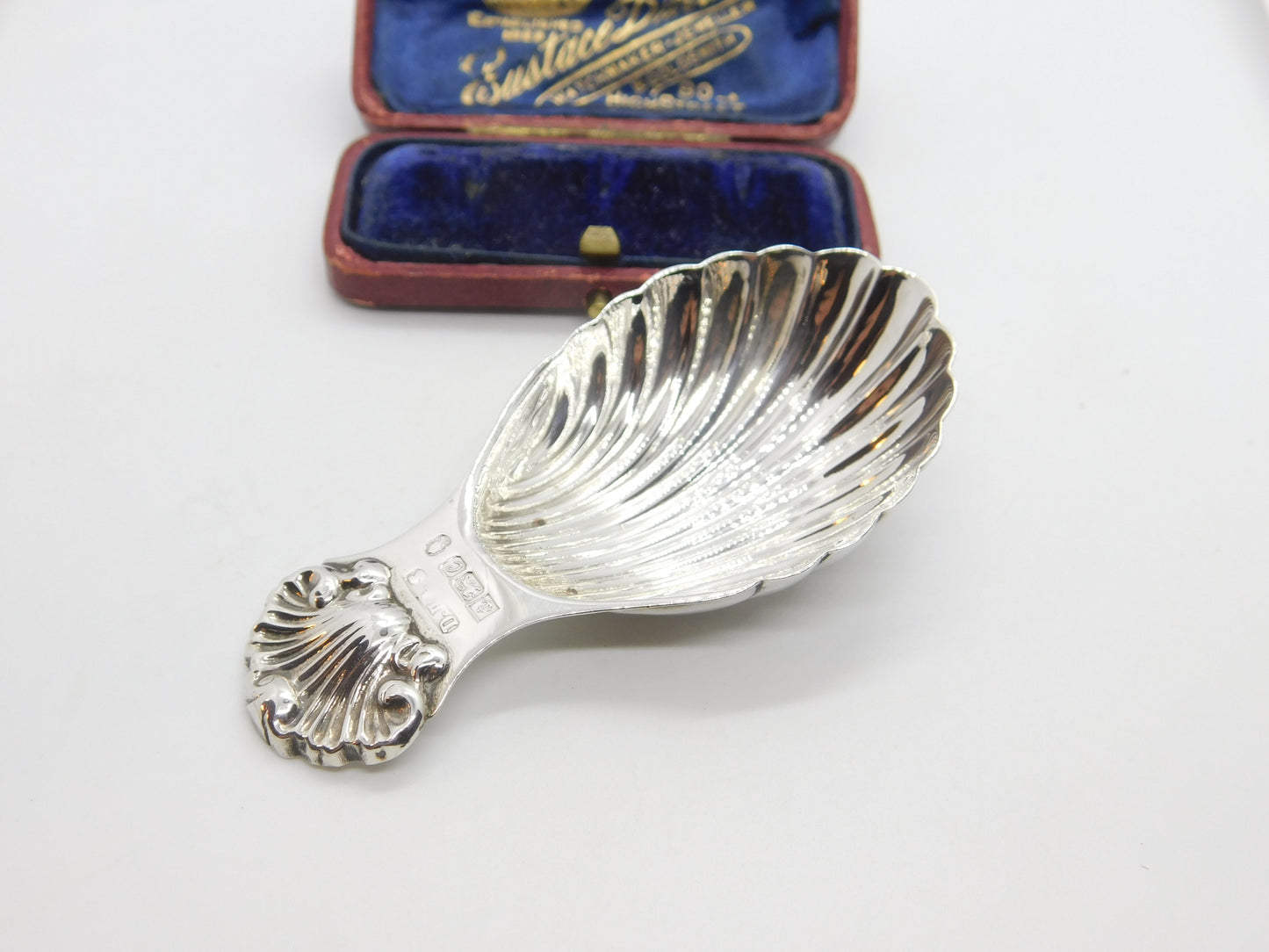 Sterling SIlver Scallop Shell Tea Caddy Spoon 1977 Birmingham Vintage