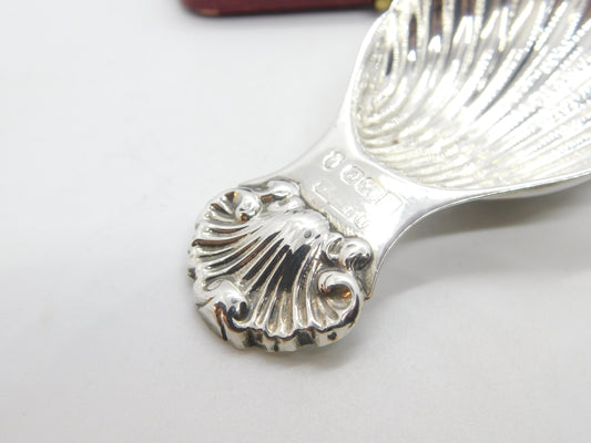 Sterling SIlver Scallop Shell Tea Caddy Spoon 1977 Birmingham Vintage