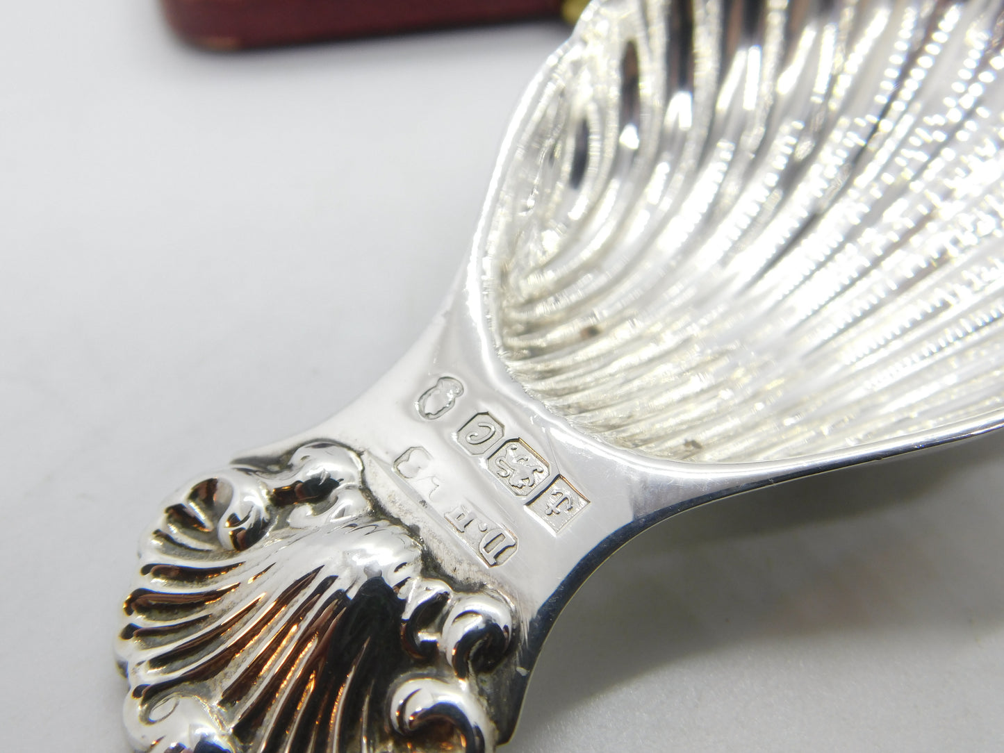 Sterling SIlver Scallop Shell Tea Caddy Spoon 1977 Birmingham Vintage