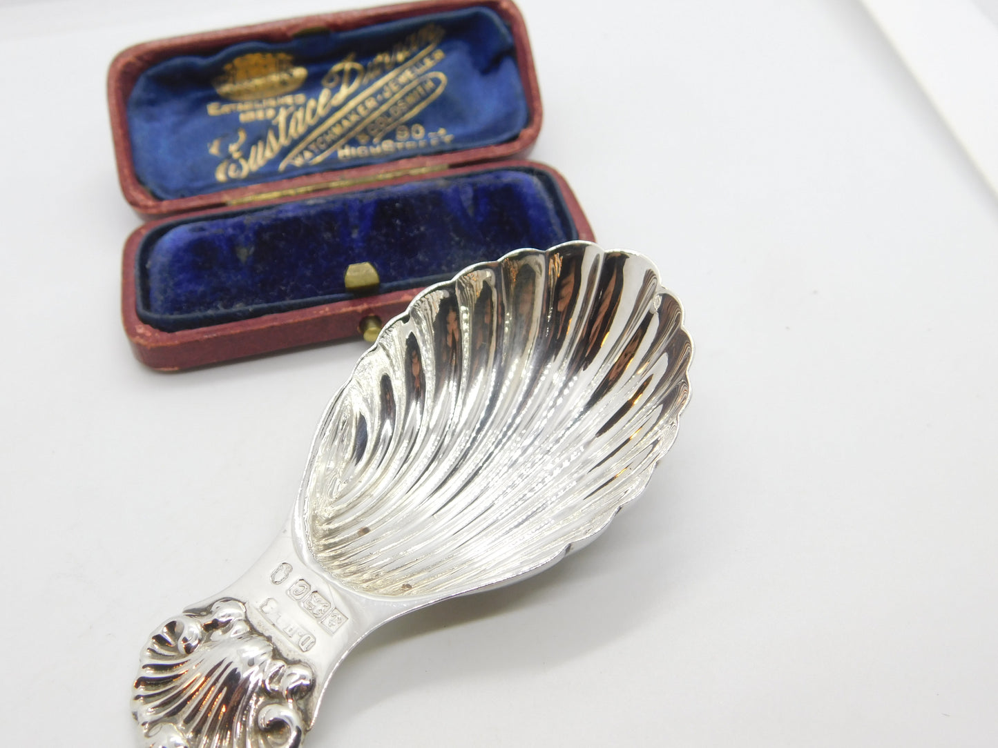 Sterling SIlver Scallop Shell Tea Caddy Spoon 1977 Birmingham Vintage