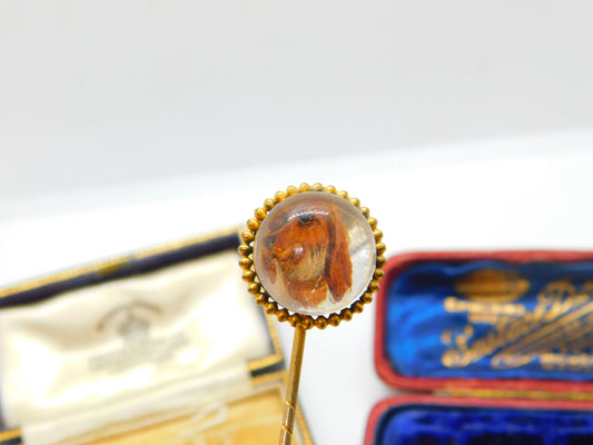 15ct Yellow Gold Spaniel Essex Crystal Stick Pin Antique c1890 Victorian