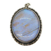 Sterling Silver Morpho Butterfly Wing Drop Pendant Antique 1921 Birmingham