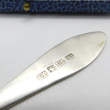 Dundee Scottish Provincial Sterling Silver Tea Spoon Edward Livingstone c1800