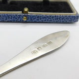 Dundee Scottish Provincial Sterling Silver Tea Spoon Edward Livingstone c1800