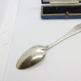 Dundee Scottish Provincial Sterling Silver Tea Spoon Edward Livingstone c1800