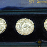Edwardian Boxed Set Of Sterling Silver Halley's Comet Buttons Antique c1910