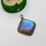 Sterling Silver Morpho Butterfly Wing Set Drop Pendant Antique c1930 Art Deco