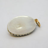 Victorian Sterling Silver & Gold Mounted Trilobite Fossil Pendant Antique